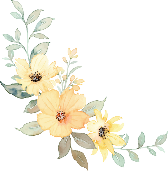 Watercolor Yellow Flowers Illustration 